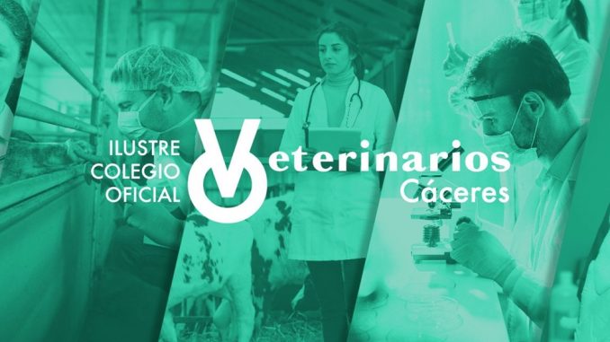 Veterinarios_82405b